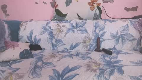 Parul online show from February 1, 10:47 am