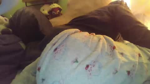 indigo_scorpio online show from November 28, 5:43 am