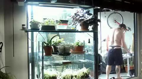 Snapshot of indigolvr chatting on June 15, 7:38 pm BroLOU online show from June 15, 7:38 pm