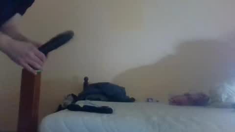 Snapshot of ineedmoney2023 chatting on December 8, 1:24 am iNEEDmoney2023 online show from December 8, 1:24 am