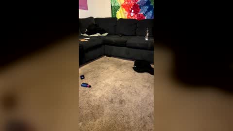 InfamousLibby  Linktree  online show from February 8, 10:18 am