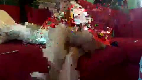 Snapshot of inmirrey chatting on May 8, 8:41 am INMIRREY online show from May 8, 8:41 am
