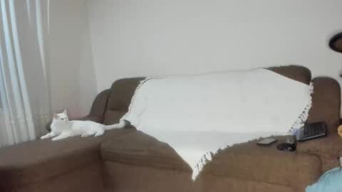 Issabelle online show from November 6, 6:25 am