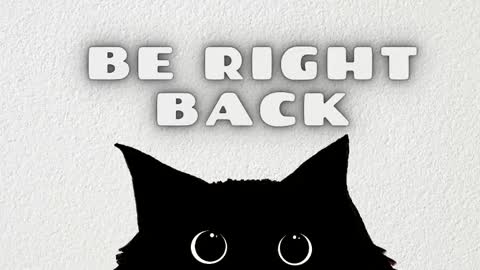 Issie online show from January 11, 2:11 pm