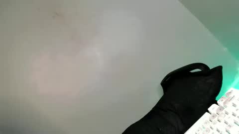 Bella online show from February 21, 7:56 am