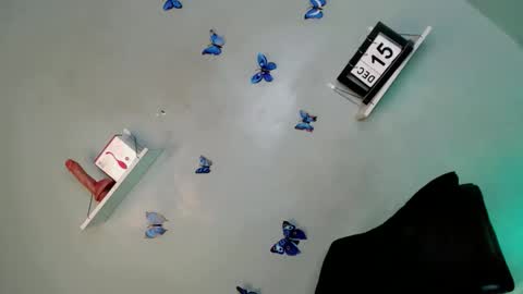 Bella online show from December 15, 5:34 am