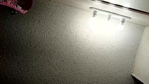 Snapshot of ittybittypritty chatting on November 9, 11:19 am ittybittypritty online show from November 9, 11:19 am