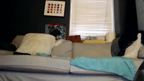 Jackie online show from October 31, 2:18 pm