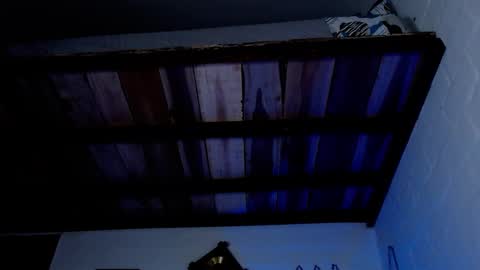 Michael Caicedo online show from March 12, 4:51 am