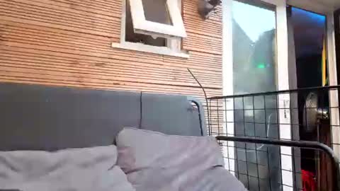 jadealexas online show from July 31, 7:35 pm