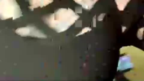 jadedrose88 online show from August 2, 2:04 pm