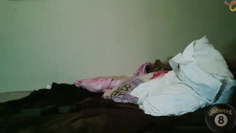 Snapshot of jahweed8 chatting on February 8, 12:08 pm Jahweed online show from February 8, 12:08 pm