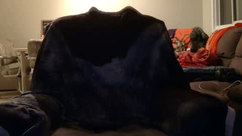 jameswolf777 online show from November 12, 8:48 am