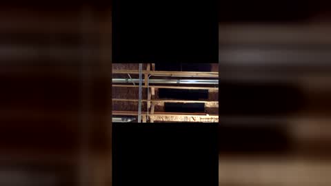 jamie19905 online show from March 4, 3:45 am