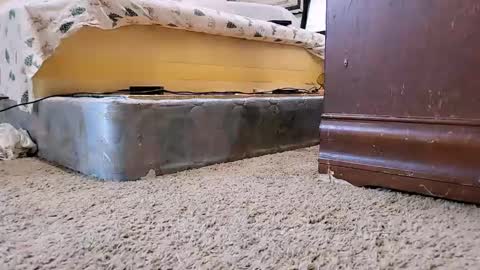 Snapshot of jamwarnerone chatting on September 9, 12:26 pm Bootyshows online show from September 9, 12:26 pm