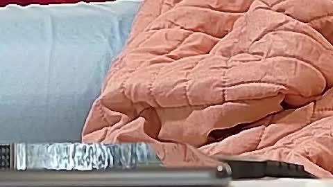 Snapshot of jamwarnerone chatting on September 15, 12:38 pm Bootyshows online show from September 15, 12:38 pm