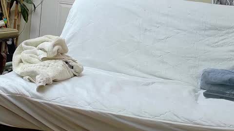 Snapshot of jamwarnerone chatting on September 17, 12:29 pm Bootyshows online show from September 17, 12:29 pm