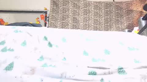 Snapshot of jamwarnerone chatting on October 23, 4:17 pm Bootyshows online show from October 23, 4:17 pm