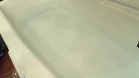 Snapshot of jamwarnerone chatting on October 29, 7:59 pm Bootyshows online show from October 29, 7:59 pm