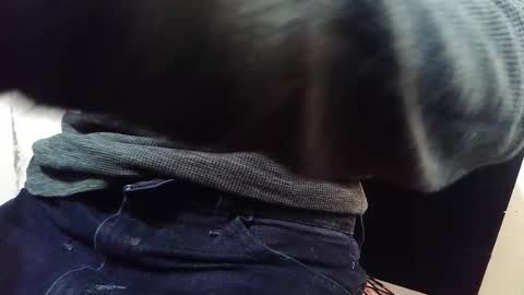 Snapshot of jamwarnerone chatting on October 30, 9:11 am Bootyshows online show from October 30, 9:11 am