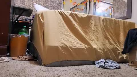 Snapshot of jamwarnerone chatting on December 2, 12:43 pm Bootyshows online show from December 2, 12:43 pm