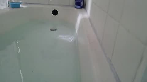 Snapshot of jamwarnerone chatting on February 22, 2:48 pm Bootyshows online show from February 22, 2:48 pm