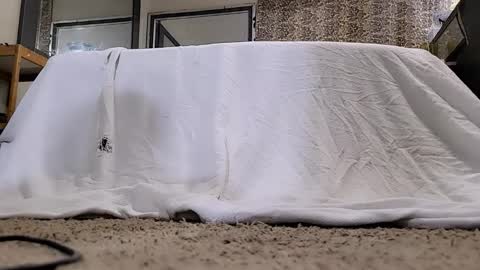 Snapshot of jamwarnerone chatting on March 12, 11:27 am Bootyshows online show from March 12, 11:27 am