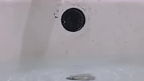 Snapshot of jamwarnerone chatting on March 15, 1:28 pm Bootyshows online show from March 15, 1:28 pm