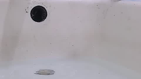 Snapshot of jamwarnerone chatting on March 16, 11:58 am Bootyshows online show from March 16, 11:58 am