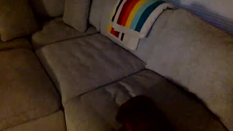 Snapshot of janicepepper chatting on May 21, 8:54 am janicepepper online show from May 21, 8:54 am