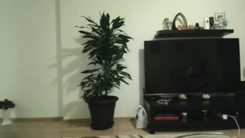 jaqueline88 online show from November 29, 4:37 am