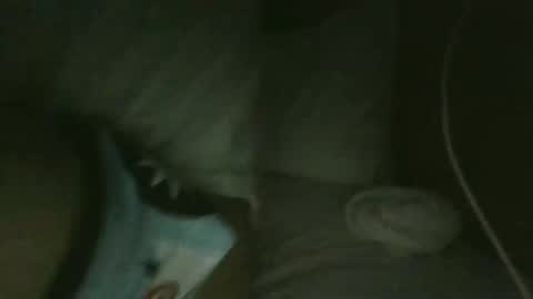 jarrettdainty559 online show from December 18, 8:31 am