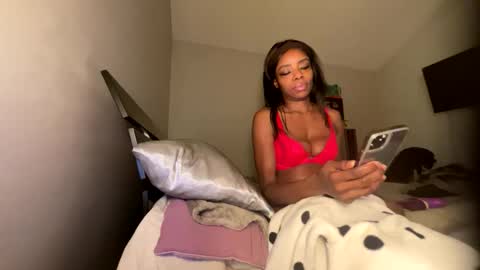 Snapshot of jasminesun12 chatting on November 30, 4:49 am jasminesun12 online show from November 30, 4:49 am