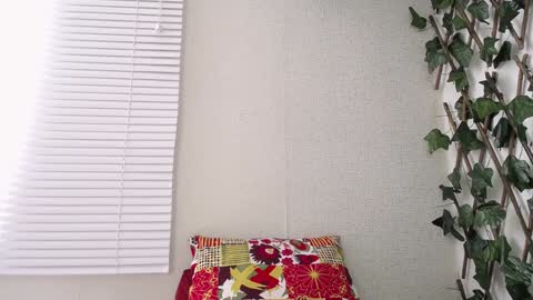 Snapshot of jasson_king01 chatting on January 8, 5:05 pm JKing online show from January 8, 5:05 pm