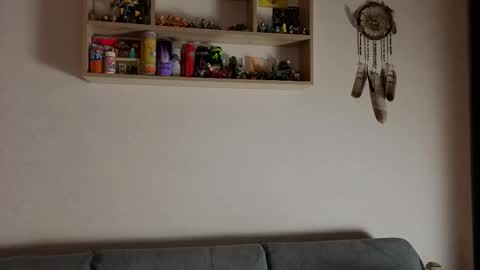 Snapshot of jastinpet chatting on November 13, 7:13 pm jastinpet online show from November 13, 7:13 pm