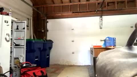 Snapshot of jawssharkparty chatting on September 12, 7:36 pm Jaws online show from September 12, 7:36 pm