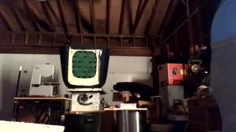 Snapshot of jawssharkparty chatting on October 11, 4:22 am Jaws online show from October 11, 4:22 am