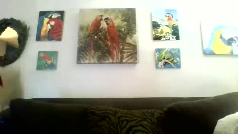 Snapshot of jay_jay1475 chatting on December 25, 4:22 pm jay-jay1475 online show from December 25, 4:22 pm