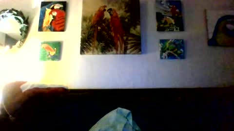 Snapshot of jay_jay1475 chatting on July 14, 6:57 pm jay-jay1475 online show from July 14, 6:57 pm
