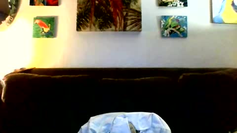 Snapshot of jay_jay1475 chatting on July 23, 6:50 pm jay-jay1475 online show from July 23, 6:50 pm