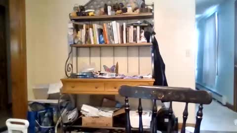 jaythenorth online show from February 11, 4:56 pm