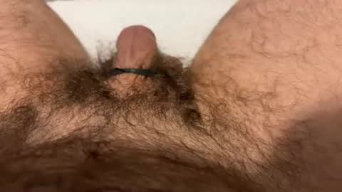 jbfatcock12345 online show from August 9, 9:42 pm