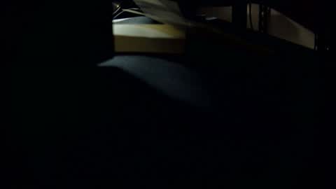 Snapshot of jbvgjjj chatting on March 1, 10:24 am dookie online show from March 1, 10:24 am