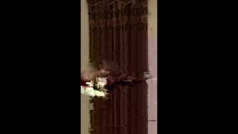 jedpiazza163893 online show from May 25, 7:36 am