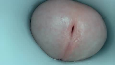 jeffrodgerschaturbat online show from March 24, 3:33 am