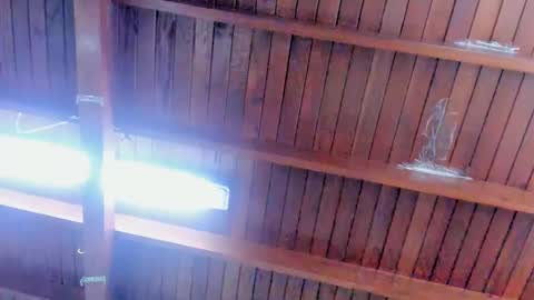 jeicob gagnon online show from February 12, 4:00 pm