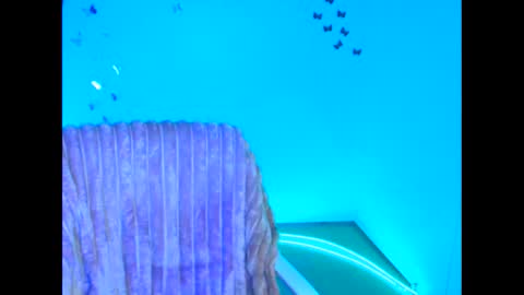 Jennifer online show from February 11, 7:13 am