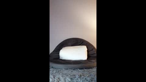 Snapshot of jenny_twinkle chatting on February 8, 5:05 pm Jenny Star online show from February 8, 5:05 pm