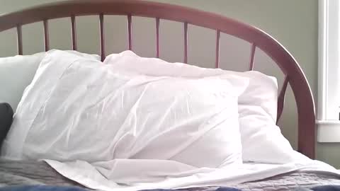 Snapshot of jerkingmanforyou chatting on March 15, 1:39 pm jerkingmanforyou online show from March 15, 1:39 pm