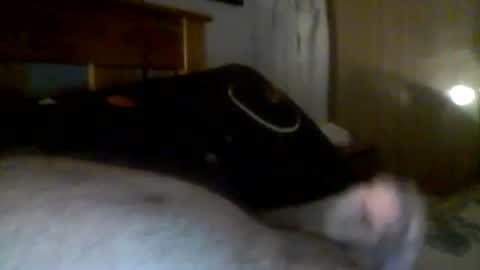 jerkmate6666 online show from December 21, 6:19 am